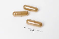 Gotha Nutrition, Polyphenole und Grüntee-Extrakt mit EGCG, 120 Kapseln