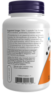 Now Foods, L-Phenylalanin 500 mg, 120 Kapseln
