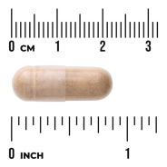 Swanson, Fo-Ti (He-Shou-Wu) - 500mg - 60 Kapseln