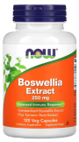 Now Foods, Boswellin-Extrakt, 250 mg, 120 Kapseln